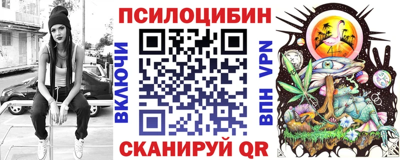 даркнет сайт  Плёс  Галлюциногенные грибы Psilocybine cubensis 